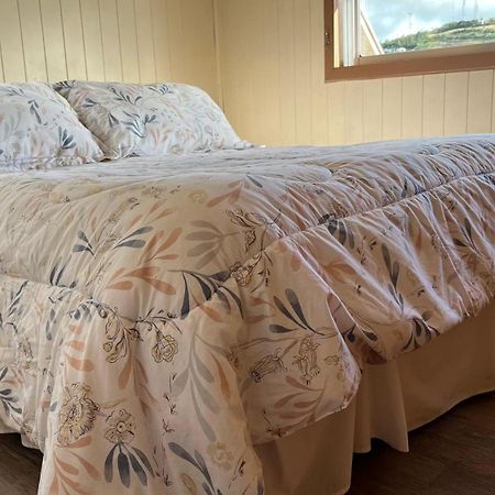 Cabanas Bosque Sur بورتو فاراس المظهر الخارجي الصورة